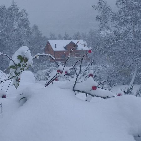 Chalet Bois Au Milieu Des Pyrenees LʼHospitalet-près-lʼAndorre 외부 사진